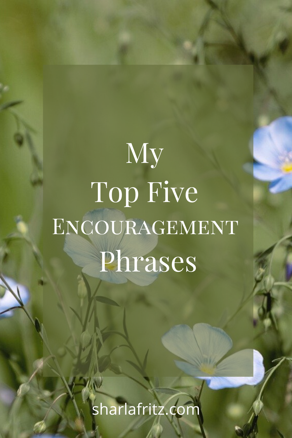 my-top-five-encouragement-phrases-sharla-fritz