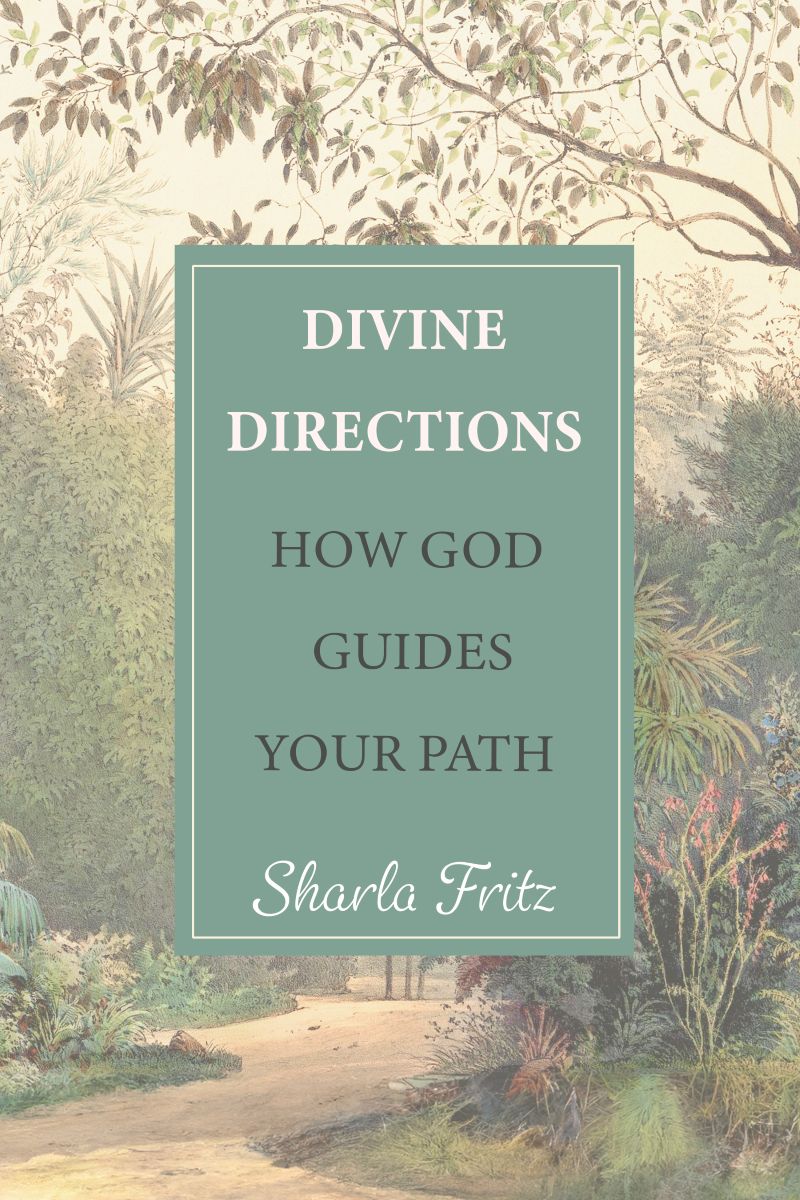 Divine-Directions-cover-copy2.jpg