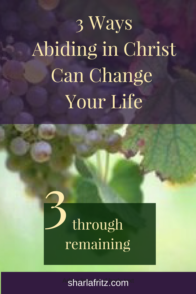 3 Ways Abiding In Christ Can Change Your Life Remaining Sharla Fritz