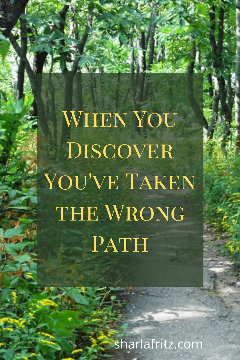 When You Discover You've Taken the Wrong Path - Sharla Fritz